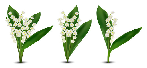 3d realistic Lilly of the valley flowers. Fragrant lily of the valley on white background. Bunch flower. Set vector illustration. - obrazy, fototapety, plakaty