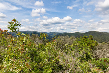 Montagnes et for&ecirc;ts des C&eacute;vennes &agrave; perte de vue &agrave; proximit&eacute; du village de Corb&egrave;s (Occitanie, France)