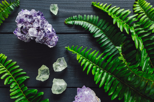 Amethyst Cluster with Fluorite and Fern Leaves on Gray Background