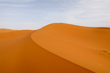 Sahara desert. Merzouga Morocco.