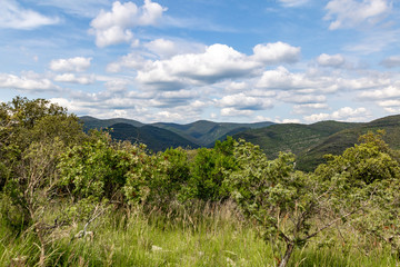 Montagnes et forêts des Cévennes à perte de vue à proximité du village de Corbès (Occitanie, France)