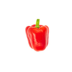 One fresh pepper isolated on white background. Red sweet paprika isolated.