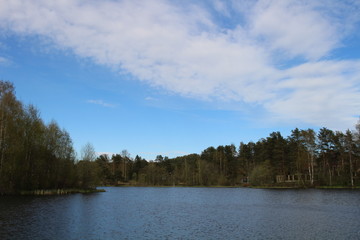 lake in the forest