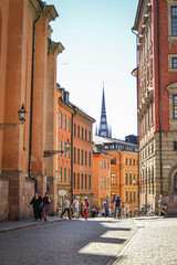 Stockholm, city, cathedral hidden, view top