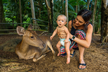 little baby and mom are playing with a young deer. Mauritius, safari park of Casela