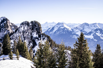snow covered trees in mountains, Switzerland alps