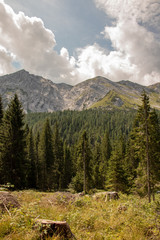 Panorama of the European Alps with high mountains and forests