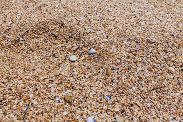 Close-up texture of sand and small broken shells on the beach. Black sea coast in Crimea