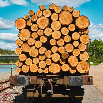 Rear view of freshly felled logs during transport on a railway wagon in the port