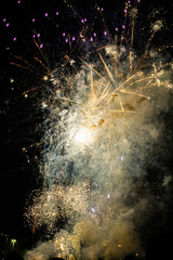 fireworks in the night sky