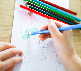 A green leaf of a flower on a white page, is painted by a child