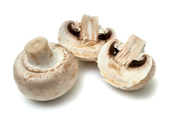 Fresh champignon mushrooms isolated on white.