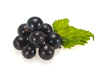 Fresh ripe sweet black currant