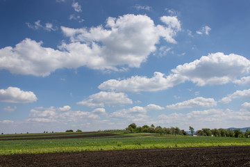Fototapeta na wymiar Provincial landscape with blue sky and clouds