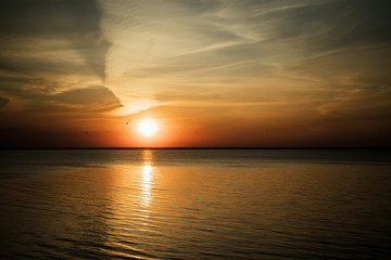 Beautiful dawn of the sun on the sea. An orange sky with light clouds and seagulls fly over the...