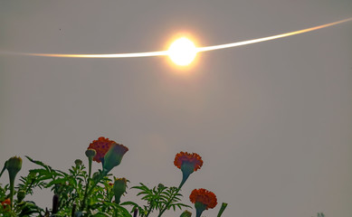 Sun in ring shaped and marigold flowers in bottom of the picture