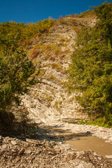 The mountain river in the gorge