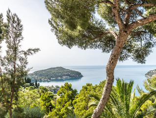 Macrophotography of insect
Macrophotographie d'insecte