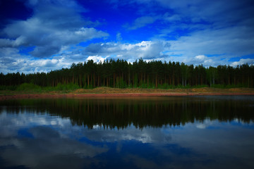 Fototapeta premium Dramatic summer forest on river bank