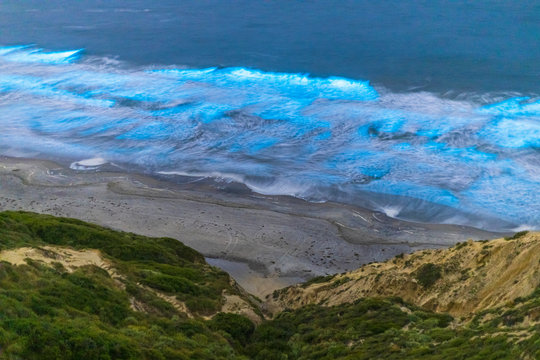 Bioluminescent red tide makes the waves glow at Black's Beach in San Diego County.