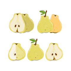 Set with whole and cut pear isolated on white background vector illustration.