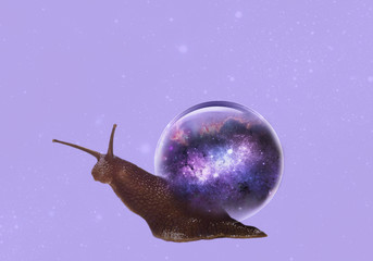 Snail art. Crawling snail on a simple background.