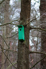 Green birdhouse on a high tree