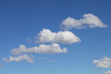 Stepped white Cumulus clouds on a clear blue sky, cloudscape texture for background