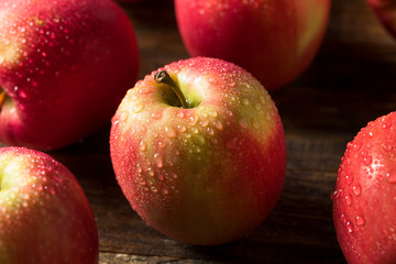 Raw Organic Red Fuji Apples