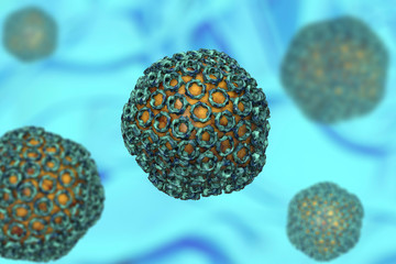 Rift valley fever virus