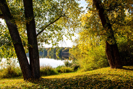 Leipzig Auensee in autumn, Germany