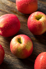 Raw Organic Red Fuji Apples