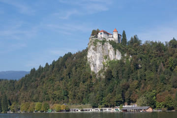 Fototapeta na wymiar Lake Bled and the castle on a rock on a summer day, Slovenia