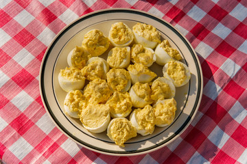 Deviled Eggs Picnic