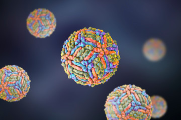 West Nile viruses