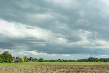 Farmland with trees and windmill on the horizon under cloudy sky.