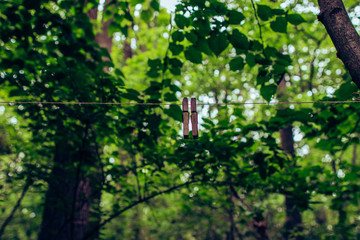 Obraz premium Two clothespins on a rope close-up in the forest