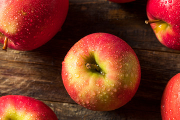 Raw Organic Red Fuji Apples