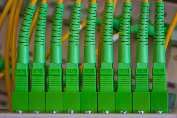 Obraz premium Information technology equipment optical distribution panel with patch cord cable close-up