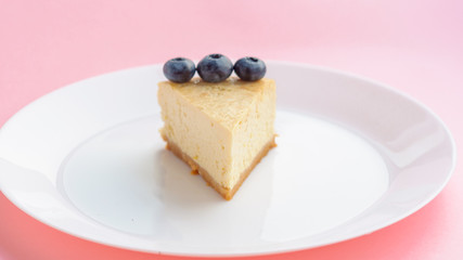 Slice of blueberrie New York Cheesecake on white plate on pink background