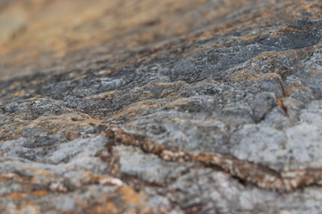 close up of grey rock 