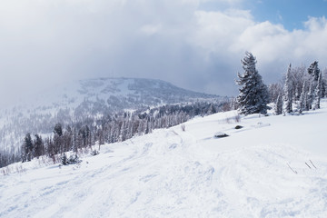 Fototapeta na wymiar Mountain landscape on a snowy slope in the Siberian mountains.