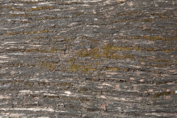 aged rural wood background