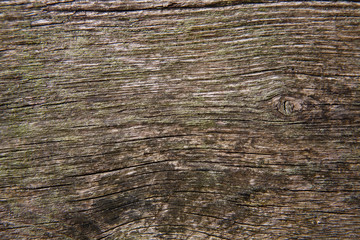 aged rural wood background