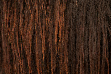 pony hair close up