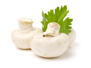 fresh mushrooms on a white