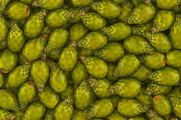 Background from cactus pears, top view. 3D rendering
