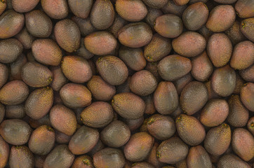 Background from avocados, top view. 3D rendering