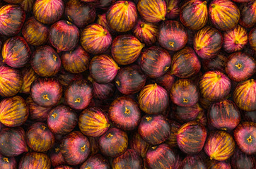 Background from common figs, top view. 3D rendering