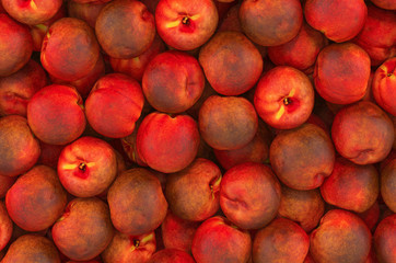 Background from peaches, top view. 3D rendering